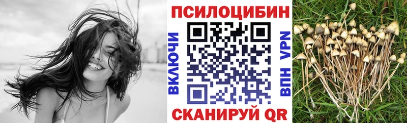 Псилоцибиновые грибы Magic Shrooms  OMG ССЫЛКА  Сольвычегодск 